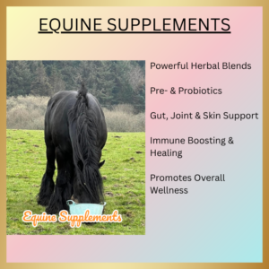 Equine supplements