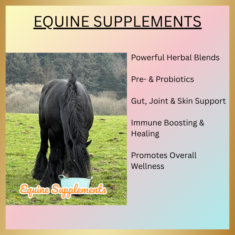 Equine supplements