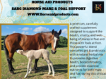 Sarc Diamond Mare & Foal Support